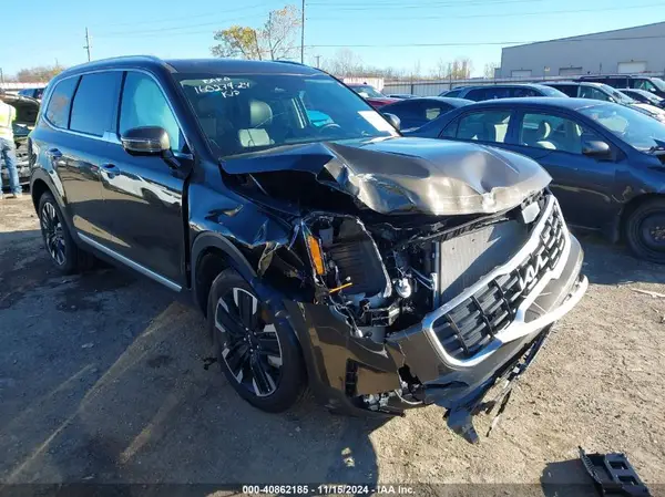 5XYP54GC8RG510594 2024 KIA TELLURIDE - Image 1