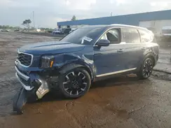5XYP54GC8RG540002 2024 KIA TELLURIDE
