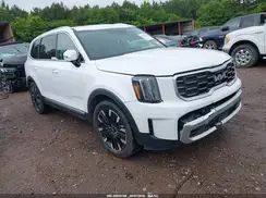 5XYP54GC9RG535164 2024 KIA TELLURIDE