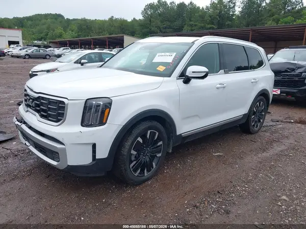 5XYP54GC9RG535164 2024 KIA TELLURIDE - Image 2