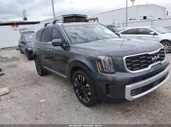 5XYP54GC9RG549176 2024 KIA TELLURIDE