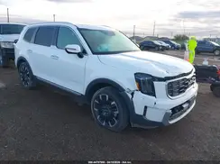 5XYP54GCXRG429676 2024 KIA TELLURIDE