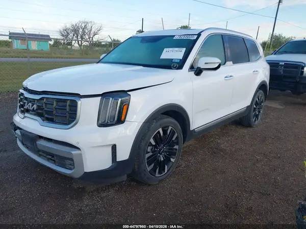 5XYP54GCXRG429676 2024 KIA TELLURIDE - Image 2