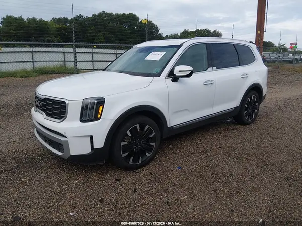 5XYP54GCXRG431640 2024 KIA TELLURIDE - Image 2