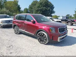 5XYP54GCXRG453251 2024 KIA TELLURIDE