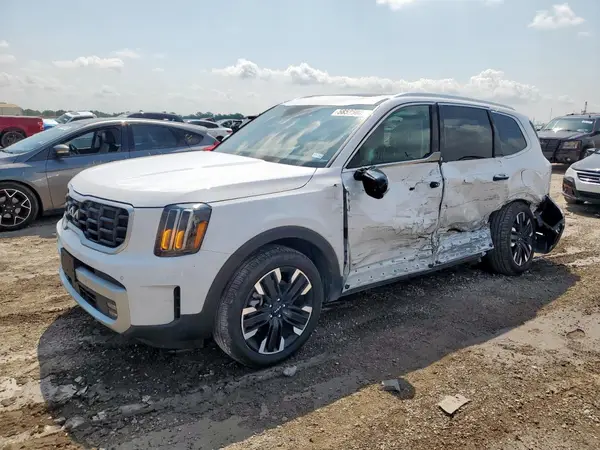 5XYP54GCXRG544701 2024 KIA TELLURIDE - Image 1