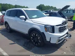 5XYP54GCXRG553446 2024 KIA TELLURIDE