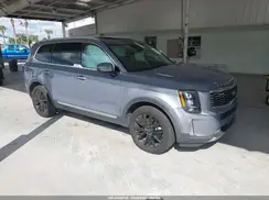 5XYP54HC0LG076516 2020 KIA TELLURIDE