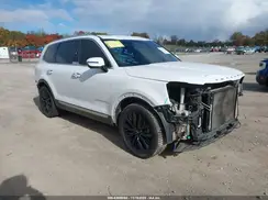 5XYP54HC0MG194244 2021 KIA TELLURIDE