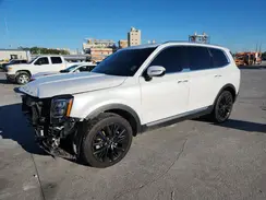 5XYP54HC1LG041029 2020 KIA TELLURIDE