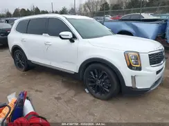 5XYP54HC1LG046456 2020 KIA TELLURIDE