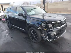 5XYP54HC6LG064046 2020 KIA TELLURIDE