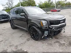 5XYP54HC6NG234666 2022 KIA TELLURIDE