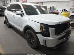 5XYP54HC7LG030729 2020 KIA TELLURIDE