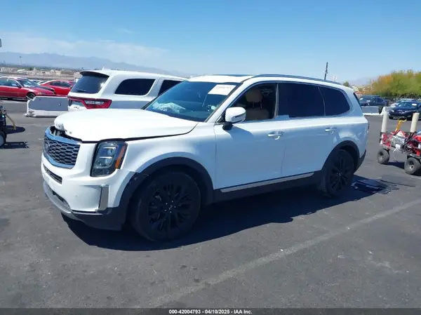 5XYP54HC7LG055081 2020 KIA TELLURIDE - Image 2