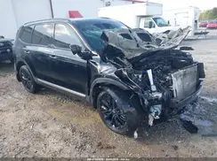 5XYP54HC8LG029072 2020 KIA TELLURIDE