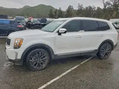 5XYP54HC8LG052559 2020 KIA TELLURIDE