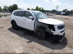 5XYP54HC8LG079132 2020 KIA TELLURIDE