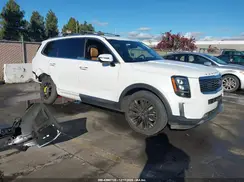 5XYP54HC9LG009333 2020 KIA TELLURIDE