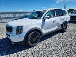 5XYP54HC9NG256452 2022 KIA TELLURIDE