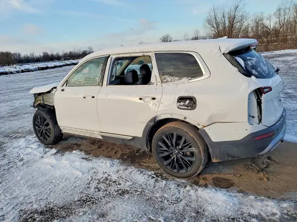 5XYP54HC9NG294991 2022 KIA TELLURIDE - Image 2