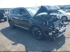5XYP5DGC0PG343354 2023 KIA TELLURIDE