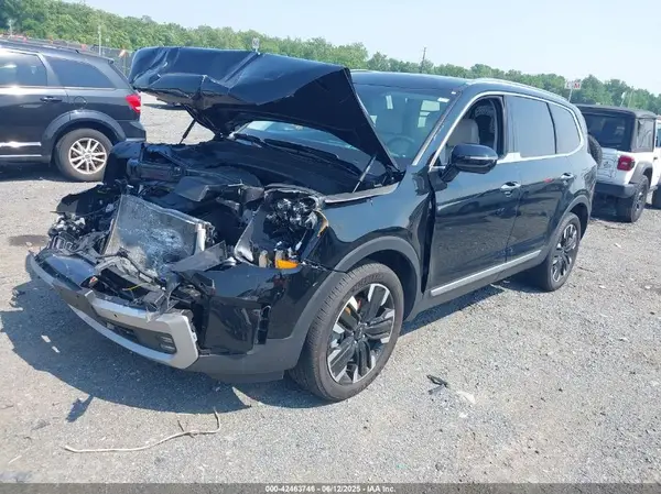 5XYP5DGC0PG343354 2023 KIA TELLURIDE - Image 2