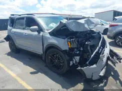 5XYP5DGC0PG370652 2023 KIA TELLURIDE