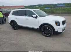 5XYP5DGC0PG379531 2023 KIA TELLURIDE