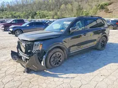 5XYP5DGC0PG392649 2023 KIA TELLURIDE