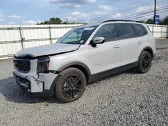 5XYP5DGC0RG440024 2024 KIA TELLURIDE