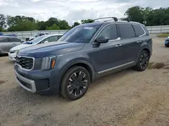 5XYP5DGC0RG441576 2024 KIA TELLURIDE