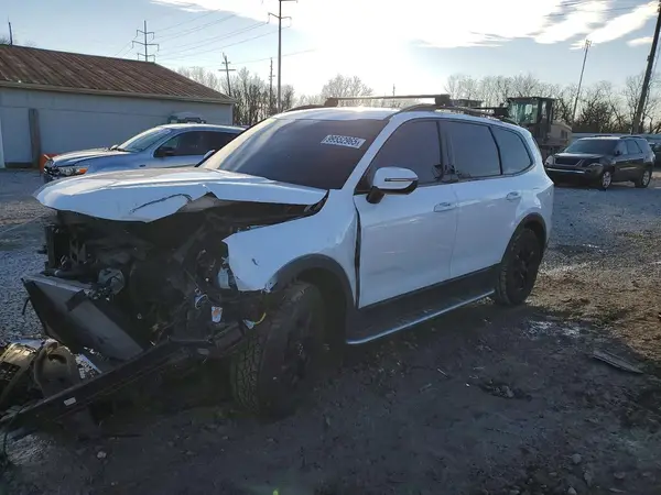 5XYP5DGC0RG446132 2024 KIA TELLURIDE - Image 1