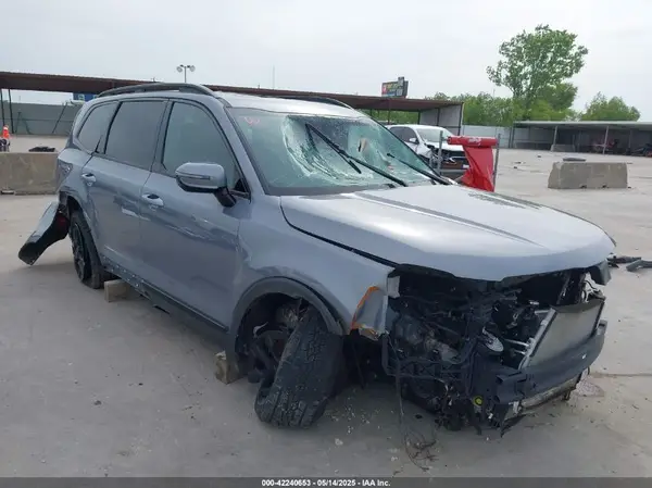 5XYP5DGC0RG469829 2024 KIA TELLURIDE - Image 1