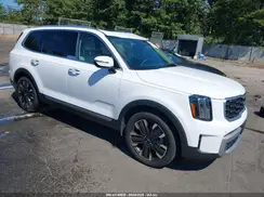 5XYP5DGC0RG477798 2024 KIA TELLURIDE