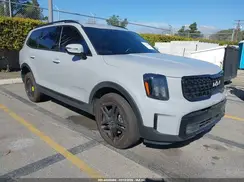 5XYP5DGC0RG489238 2024 KIA TELLURIDE