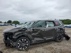 5XYP5DGC0RG492365 2024 KIA TELLURIDE