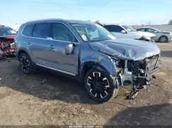 5XYP5DGC0RG500464 2024 KIA TELLURIDE