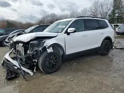 5XYP5DGC0RG508189 2024 KIA TELLURIDE