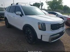 5XYP5DGC0RG511416 2024 KIA TELLURIDE