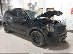 5XYP5DGC0RG520309 2024 KIA TELLURIDE