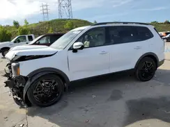 5XYP5DGC0RG521055 2024 KIA TELLURIDE