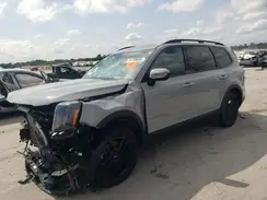 5XYP5DGC0RG522688 2024 KIA TELLURIDE