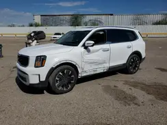 5XYP5DGC0RG524618 2024 KIA TELLURIDE