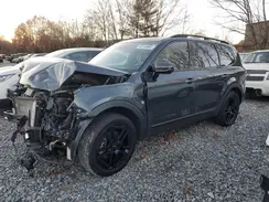5XYP5DGC0RG544643 2024 KIA TELLURIDE