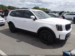 5XYP5DGC0RG549745 2024 KIA TELLURIDE