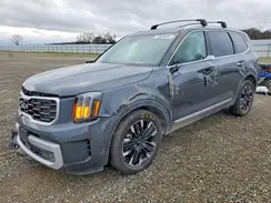5XYP5DGC0RG554718 2024 KIA TELLURIDE