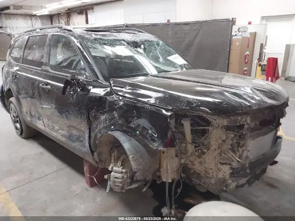 5XYP5DGC0RG561703 2024 KIA TELLURIDE - Image 1