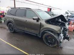 5XYP5DGC0SG574554 2025 KIA TELLURIDE