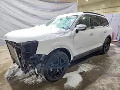 5XYP5DGC0SG580452 2025 KIA TELLURIDE